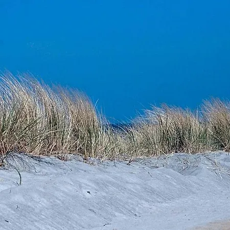 Komfortable In Strandnahe In 4* Rerik