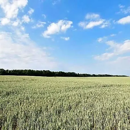 Komfortable In Strandnahe In 4* Rerik