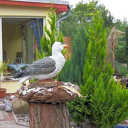 Hotel Komfortable In Strandnahe In Rerik
